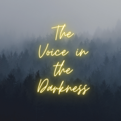 The background is a set of tree in ombre style that start from the bottom with black and slowly making it way up to a light grey coloured sky. Their is a gold glow cursive text in the middle of this logo which reads "The Voice in the Darkness"